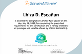 Certified Agile Leader’s Journey