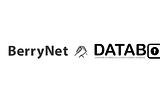 BerryNet is collaborating with Databox to give users control over the use of their personal data.