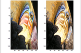 Image Compression using K-means Clustering.