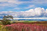 Working with Defra on the future of farming