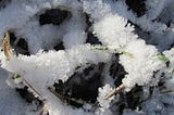 Winter Photo Essay — An Homage to the Resting Season
