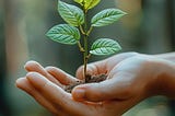 Reproduction in plants
