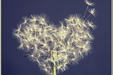 Dandelion in the shape of a heart on a blue background