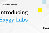 Introducing the Exygy Labs Series