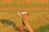 Greenfield, Brownfield, Bluefield™ and what is this Orangefield Transformation and why does it make…
