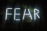 Fear: Millennials and the Effects of the Financial Crisis