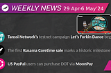 Weekly News from Polkadot & Kusama #128