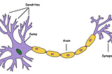 MP Neuron Model