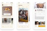 UX Case study — How We Made A Pet Sitter app