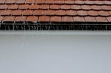 The Importance of Professional Roof Soft Washing: Maximize Longevity and Curb Appeal