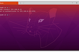 Developing Flutter with Physical Devices on WSL2 — Windows 10