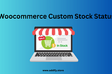 Woocommerce Custom Stock Status — 2024