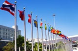 Why COP29 is the Moment to Advocate for Open Climate Data
