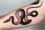 “The Global Influence of Tattoo Culture: The Role of Tattoos in Different Societies”