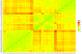 Metode Clustering K-Means menggunakan Dataset “flea” dalam R