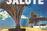 Cover of “Salute” a book about yoga, but not about yoga.