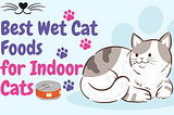 Best Wet Cat Food for Indoor Cats in USA 2024 | White Persian Cat