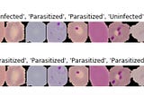 WEEK 4: Malaria Parasite Classification