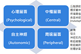 腦中風以後疼痛的來源和種類