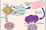 Global Checkpoint Inhibitors for Treating Cancer Consumption Market 2016 Industry Research Report