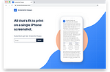 Screenshot Essays