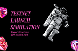 Public Testnet Launch Simulation