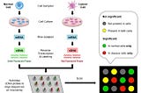 Identification of Significant Genes in Microarrays using Lassoed PCA