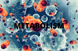 How to Boost Your Metabolism without Exercising?