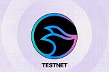 How does a user testnet help improve a project? What are the benefits for Manta Network?