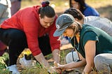 Students and faculty members dig into a patch of land and prepare to place plants native to Colorado