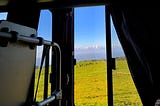A bus window looks onto a green field with cows grazing