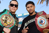 Tonton Pertarungan Tinju Profesional Antara Shakur Stevenson vs. Oscar Valdez — 30 April 2022