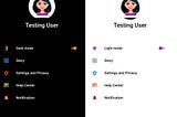 Light/Dark App Theme with Custom Color in Flutter
