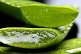 Aloe vera: a valuable ally for your beauty routine
