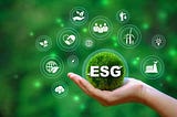 Understanding ESG Investing: The Key Factors To Consider