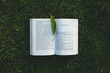 How can you learn a second language?