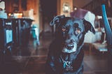 Writing Scalable React Apps with the Component Folder Pattern