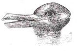 Project and Delivery Management in the context of changing software development paradigm. Image Source: https://en.wikipedia.org/wiki/Paradigm_shift#/media/File:Duck-Rabbit_illusion.jpg