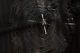 Spider Web in dark