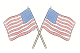 The Power of Freedom: A Personal Statement from an Immigrant