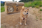 Being a dogecoin contributor