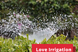 Why You Should Hire Love Irrigation For Your Irrigation Needs?