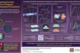 GIST Researchers Investigate Strange Transient Responses of Organic Electrochemical Transistors