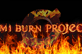 OMI Burn Project