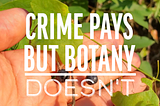 Crime Pays But Botany Doesn’t Premieres on Means TV