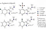 Unraveling the Biological Underpinnings of Psychedelics