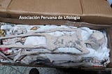 Humanoid Remains Found in Ica, Peru