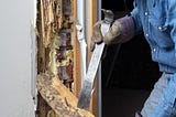Termite Inspection In McKinney, TX: What An Inspector Looks For