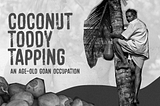 Coconut Toddy Tapping: An Age-old Goan Occupation