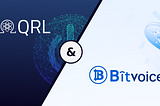 New Exchange Listing — Bitvoicex